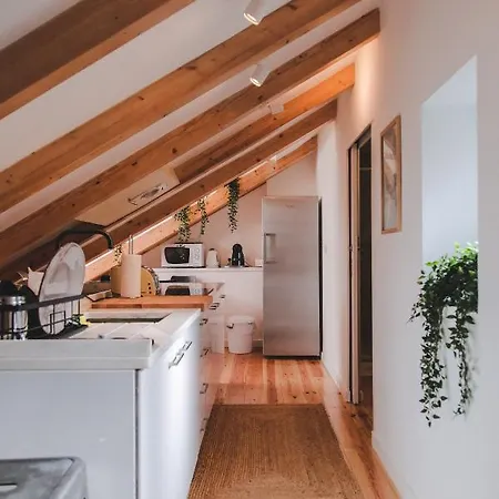 Apartamento Downtown Fashion